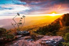 Phu Kradueng National Park