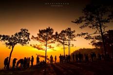 Phu Kradueng National Park