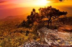Phu Kradueng National Park