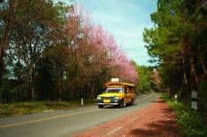 Doi Ang Khang National Park
