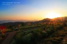 ดอยม่อนแจ่ม