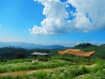 ดอยม่อนแจ่ม