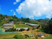 ดอยม่อนแจ่ม