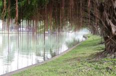 Seri Thai Park