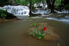 น้ำตกผาตาด