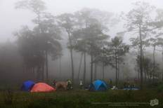 อุทยานแห่งชาติภูสอยดาว