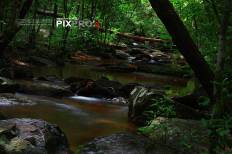 อุทยานแห่งชาติภูพาน