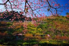 Doi Ang Khang National Park