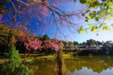 Doi Ang Khang National Park