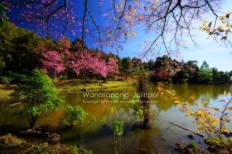 Doi Ang Khang National Park