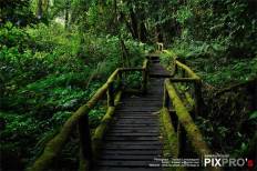 Doi Inthanon National Park