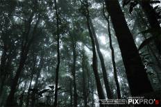 Doi Inthanon National Park