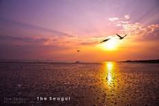 สถานตากอากาศบางปู