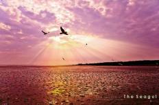 สถานตากอากาศบางปู