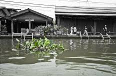 ตลาดน้ำยามเย็นอัมพวา