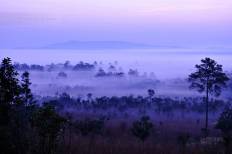 อุทยานแห่งชาติทุ่งแสลงหลวง (หนองแม่นา)