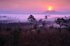 อุทยานแห่งชาติทุ่งแสลงหลวง (หนองแม่นา)