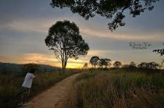 Khao Yai National Park