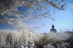 Wat Muang