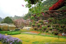 Doi Ang Khang National Park