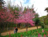 Doi Ang Khang National Park