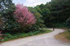 Khun Sathan National Park