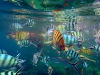 Koh Chang National Park