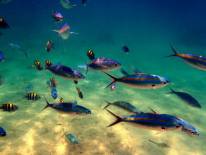 Koh Chang National Park