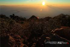 ดอยเชียงดาว