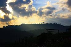 ดอยม่อนแจ่ม