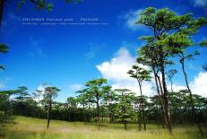 Phu Soi Dao National Park