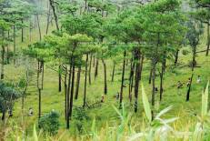 Phu Soi Dao National Park