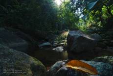 Tai Rom Yen National Park