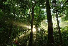 Tai Rom Yen National Park