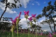 Pa Hin Ngam National Park