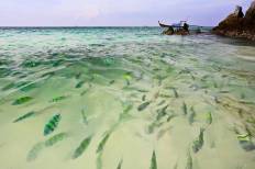 Koh Kai