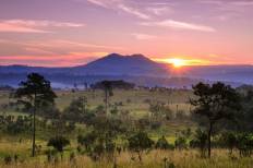 อุทยานแห่งชาติทุ่งแสลงหลวง (หนองแม่นา)