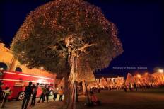 วัดพระศรีรัตนศาสดาราม (วัดพระแก้ว)