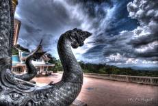 Wat Pa Phu Kon