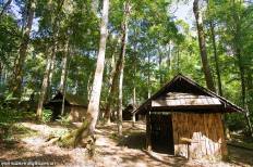 อุทยานแห่งชาติภูหินร่องกล้า