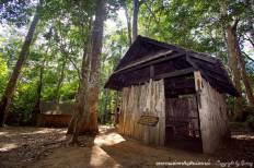 อุทยานแห่งชาติภูหินร่องกล้า
