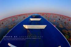 Red Lotus Sea