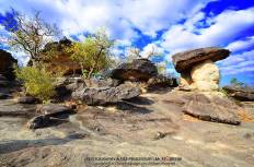 อุทยานแห่งชาติภูผาเทิบ