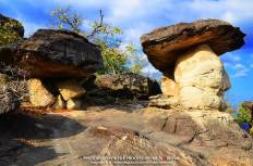 อุทยานแห่งชาติภูผาเทิบ