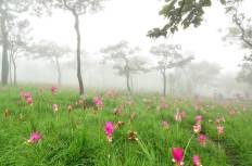 Pa Hin Ngam National Park