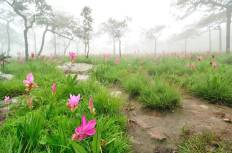 Pa Hin Ngam National Park