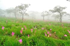 Pa Hin Ngam National Park