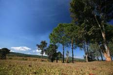 อุทยานแห่งชาติทุ่งแสลงหลวง (หนองแม่นา)