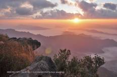 วนอุทยานภูชี้ฟ้า