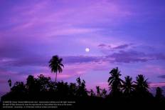 ตลาดน้ำยามเย็นอัมพวา